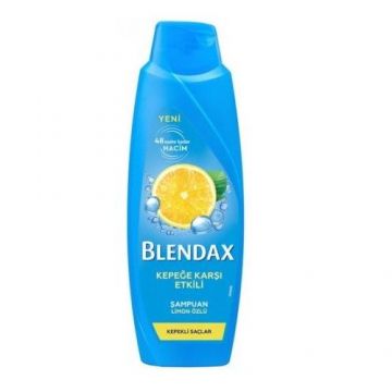 Blendax Kepek Önleyici Kepekli Saçlar için 470 Ml