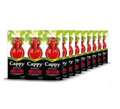 Cappy Bahçe Vişne Nektarı 200 ml x 27 Adet