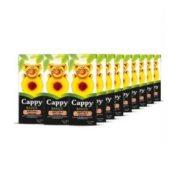 Cappy Bahçe Şeftali Nektarı 200 ml x 27 Adet