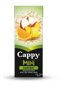 Cappy Bahçe Karışık Meyve Nektarı 200 ml x 27 Adet