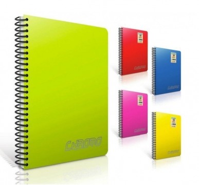 Gıpta 1341 Chromo Spiralli PP Kapak A4 120 YP Kareli Defter